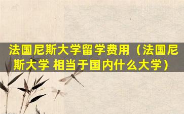 法国尼斯大学留学费用（法国尼斯大学 相当于国内什么大学）